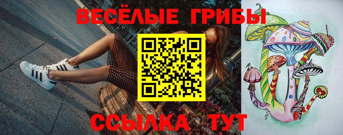 Сухой Лог  Псилоцибиновые грибы прущие грибы  Вход с VPN 